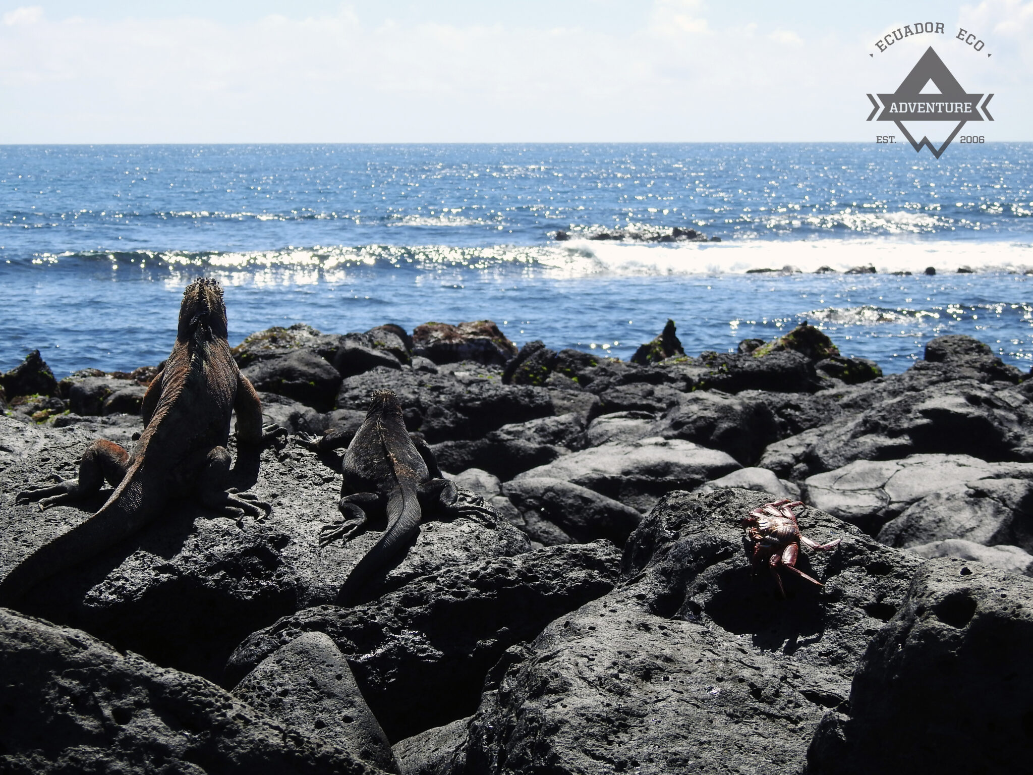 Galapagos Budget Tour