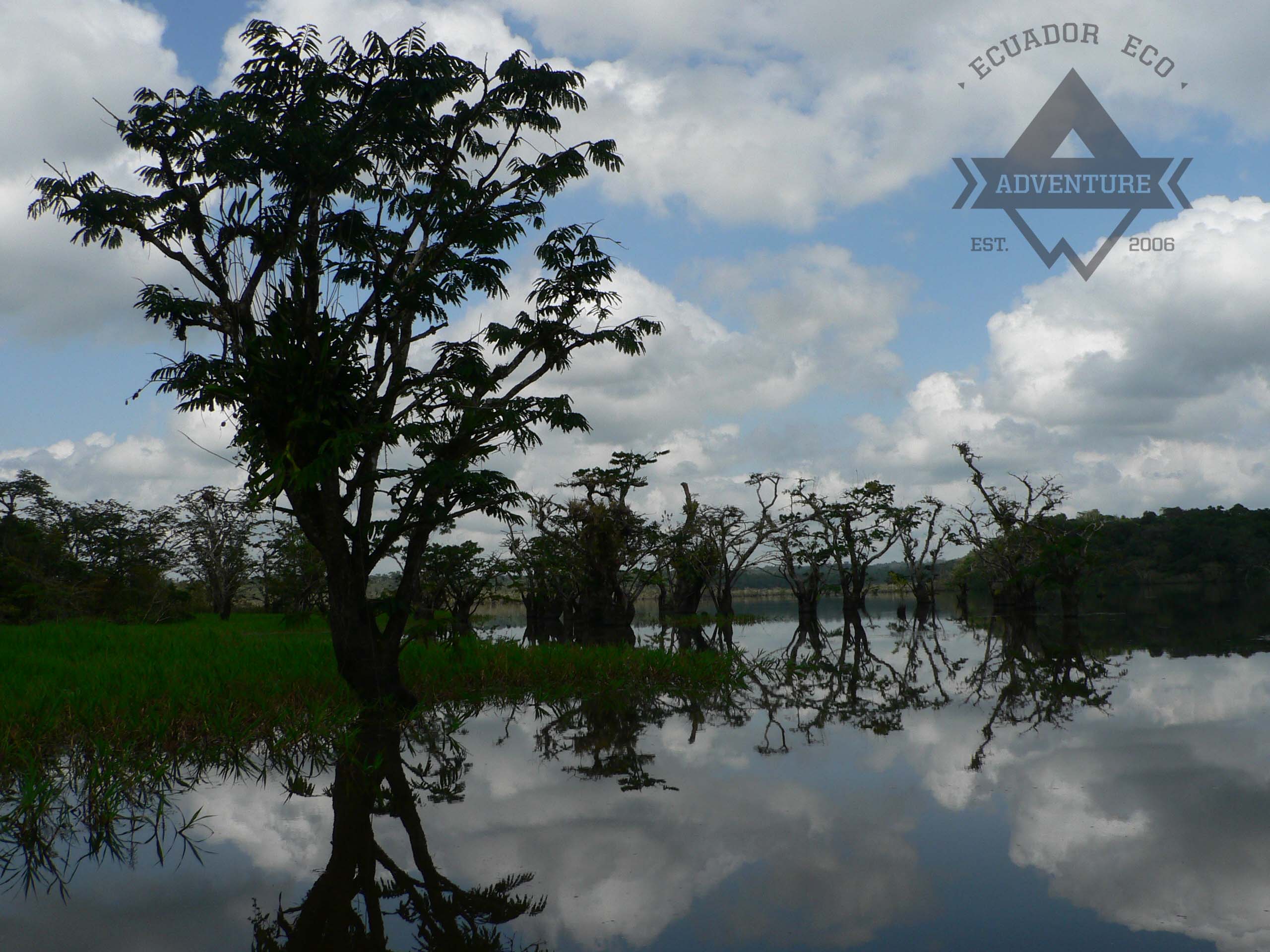 Cuyabeno Tours