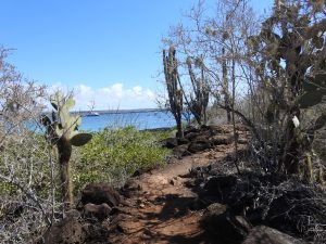 Galapagos Islands Vacations