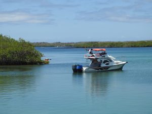 Galapagos Islands Tour