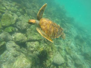 Galapagos Islands