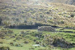 Inca ruins