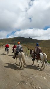 Horseback riding Ecuador
