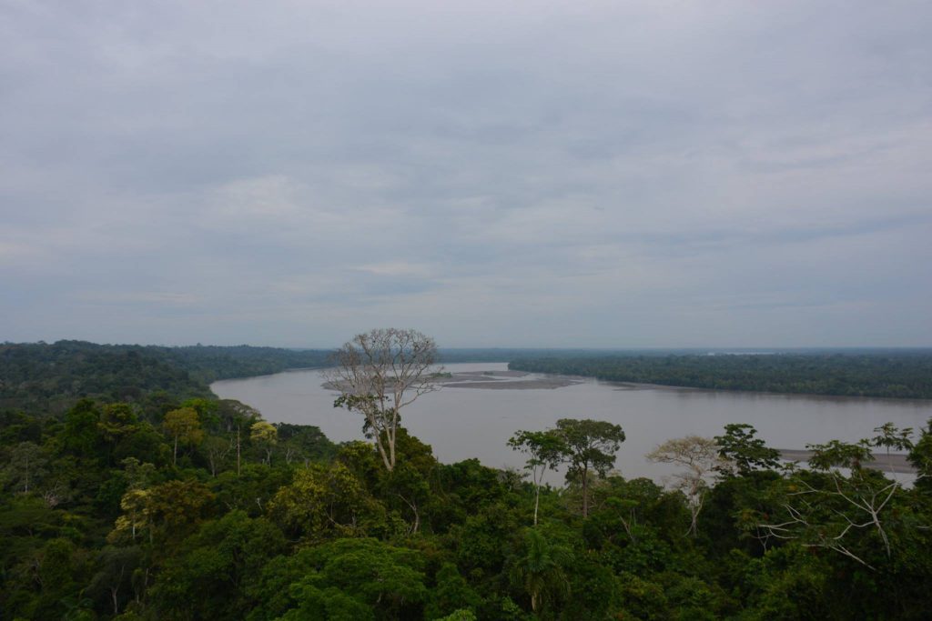 A la découverte du Yasuni