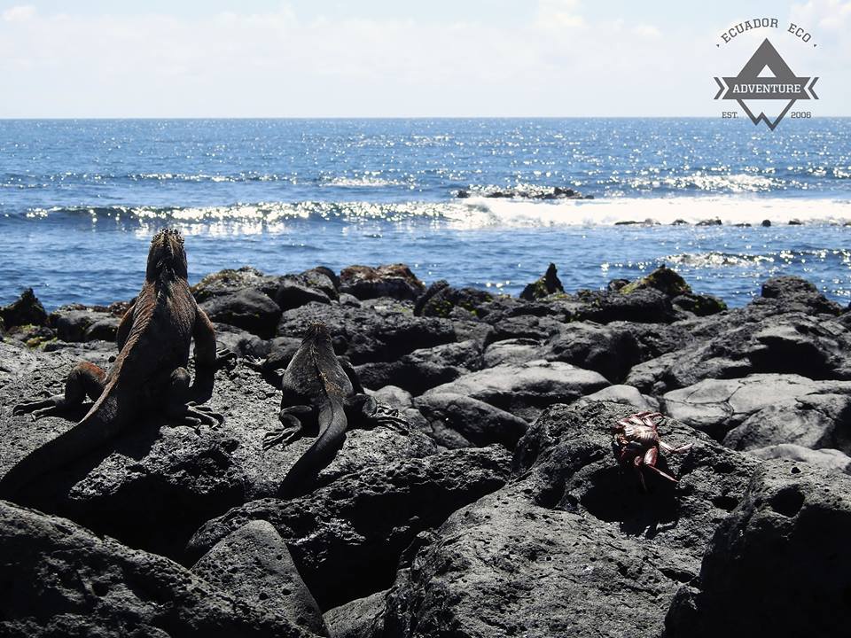 Galapagos Ecuador Eco Adventure