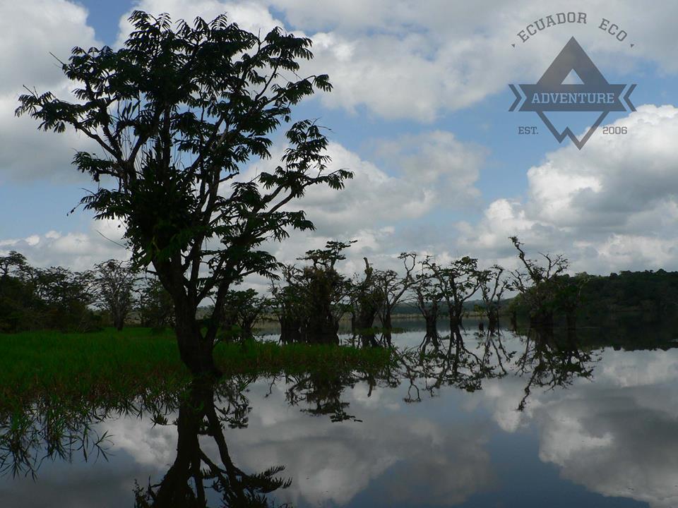 Visit Cuyabeno Rainforest