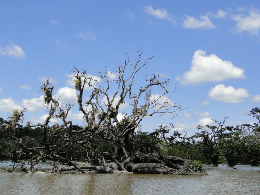 Visit Cuyabeno Rainforest