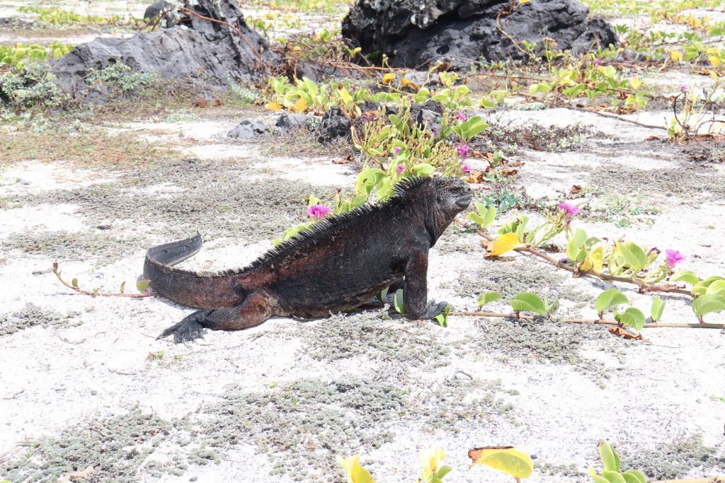 Visit San Cristobal - Galapagos Islands