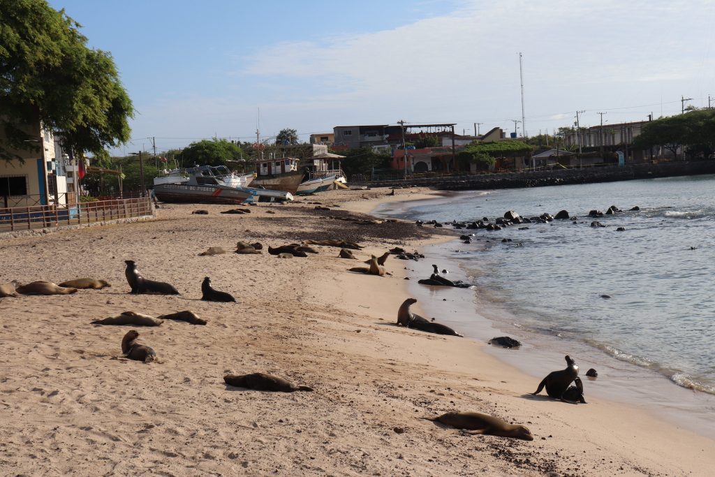Visit San Cristobal - Galapagos Islands