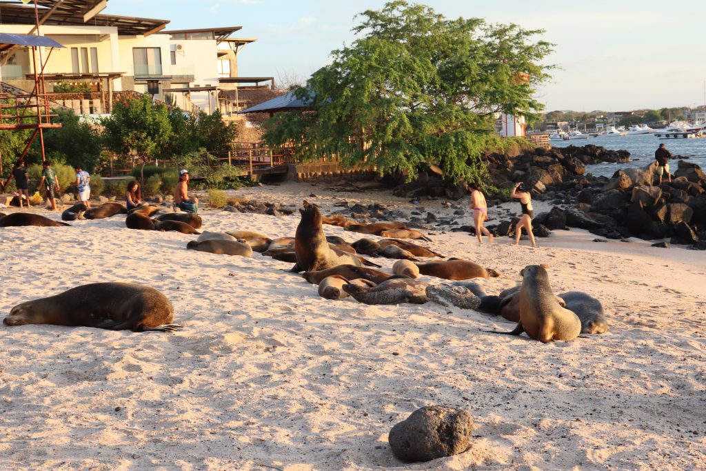 Visit San Cristobal Galapagos Islands Ecuador Eco Adventures