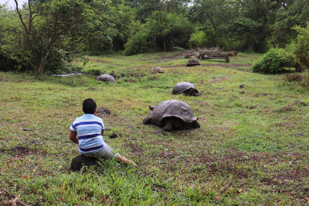 Visit Santa Cruz - Galapagos Islands