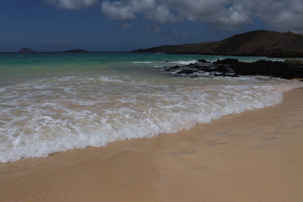 Visit Santa Cruz - Galapagos Islands