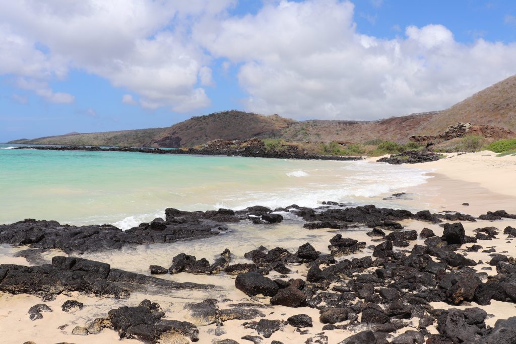Travel to Isabela Island - Galapagos