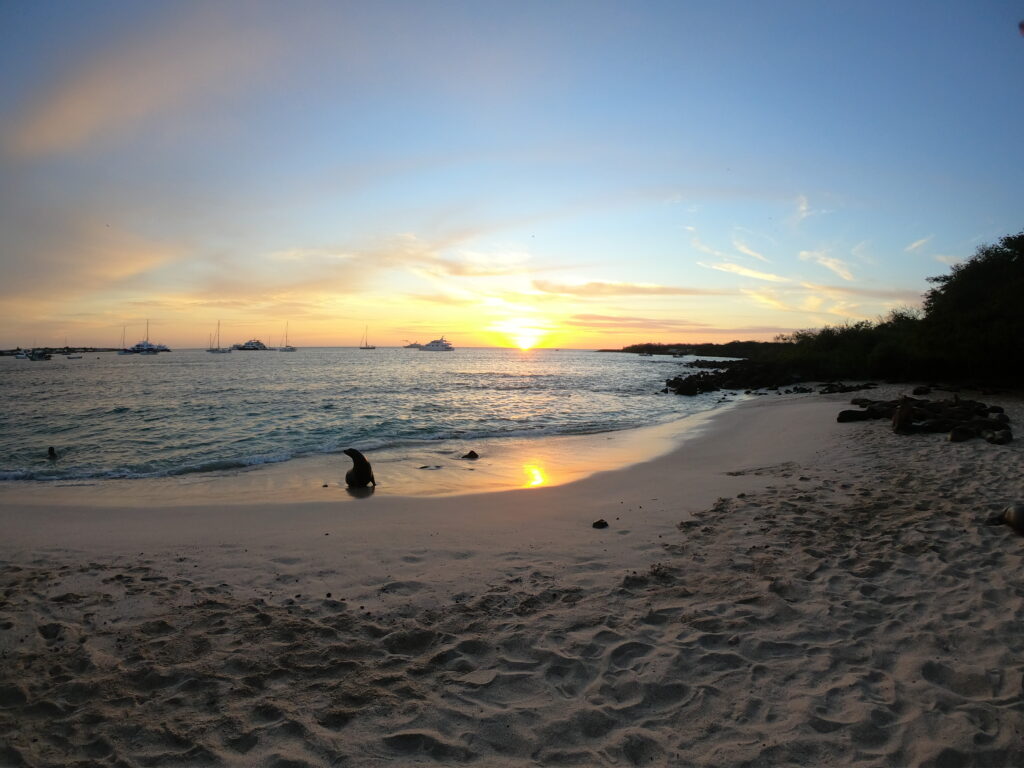 Is it safe to travel to the Galapagos Islands