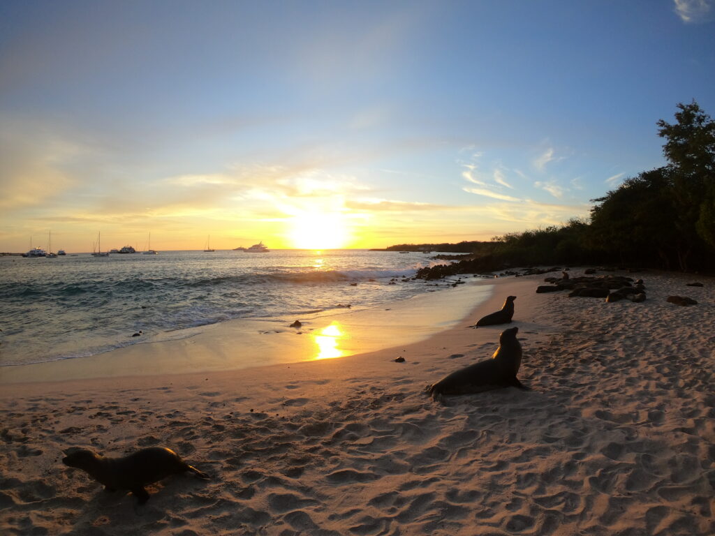 Is it safe to travel to the Galapagos Islands