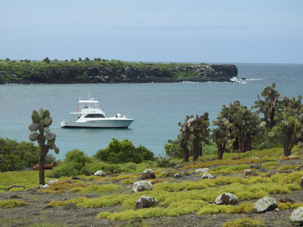 Galápagos Islands Group Tour