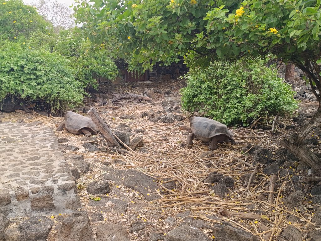 Frequently Asked Questions