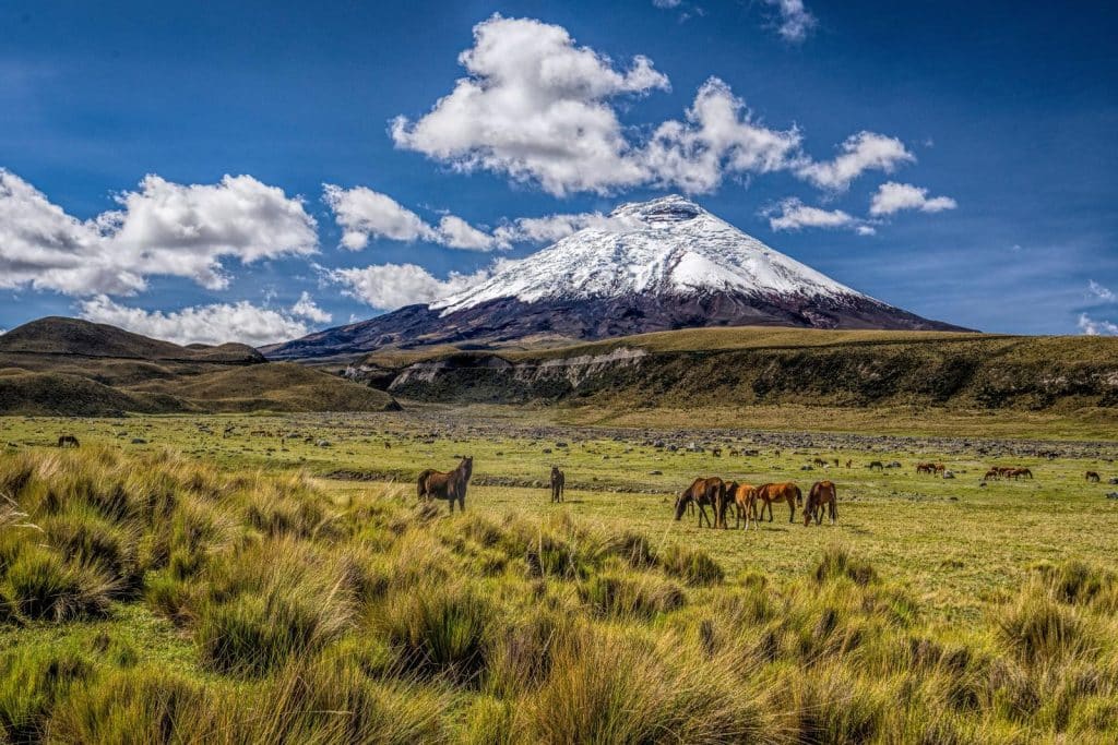 Is It Safe to Travel to Ecuador in 2026?