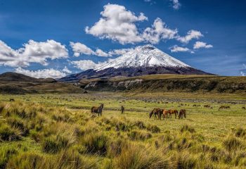 Is It Safe to Travel to Ecuador in 2026?