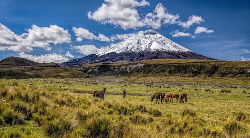 Is It Safe to Travel to Ecuador in 2026?